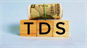 Do I need CA For TDS Filing