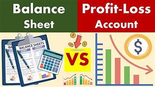 Balance Sheet And P&L Account
