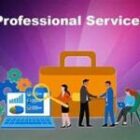 Professional CA Services