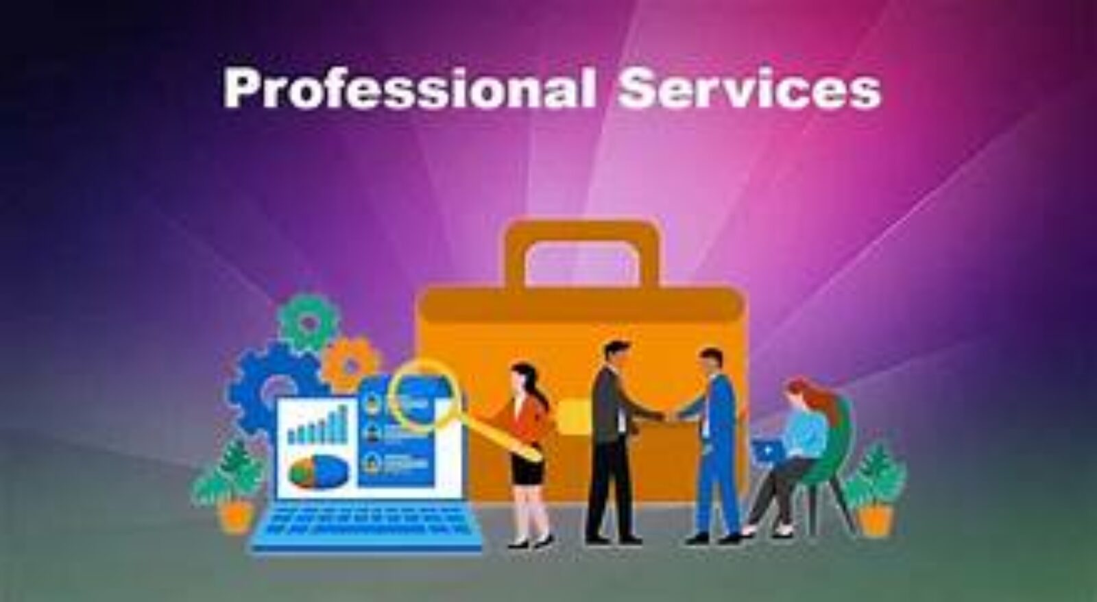 Professional CA Services