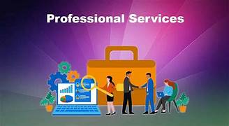 Professional CA Services